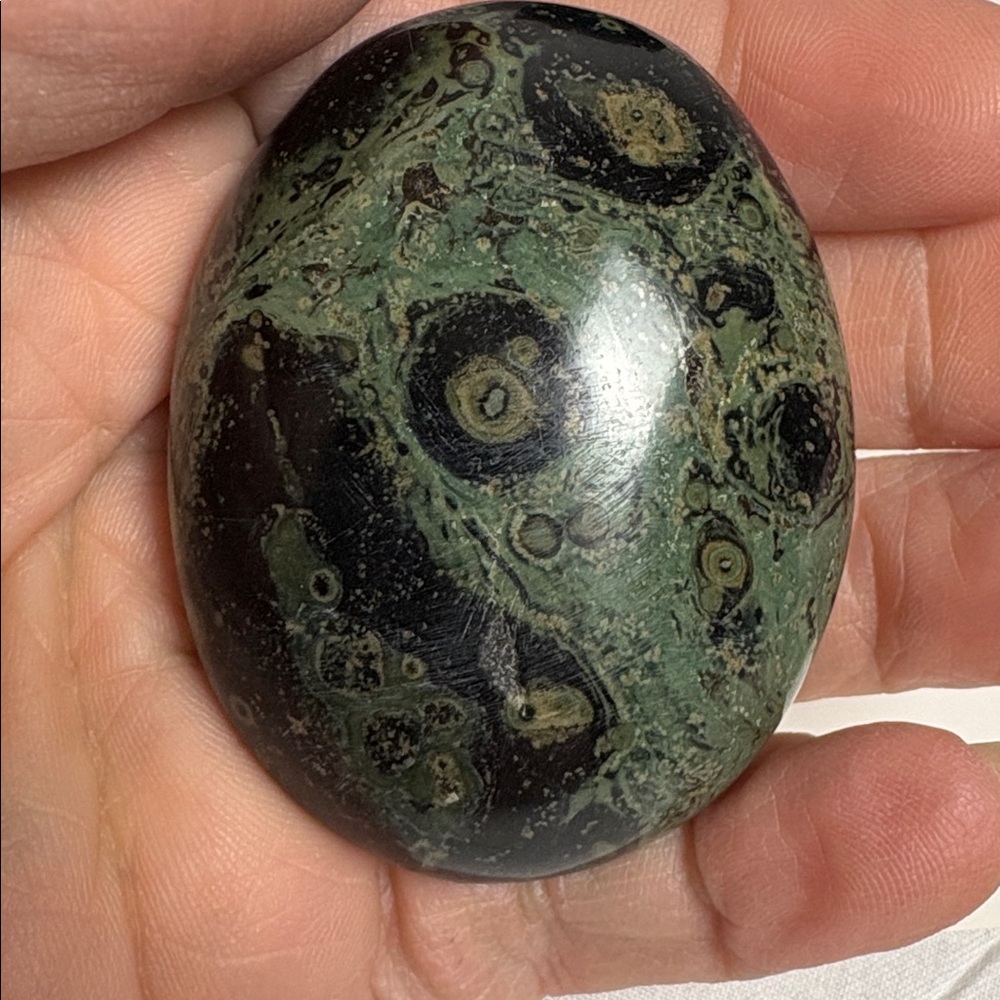 Kambaba Jasper palm stones one polished stone